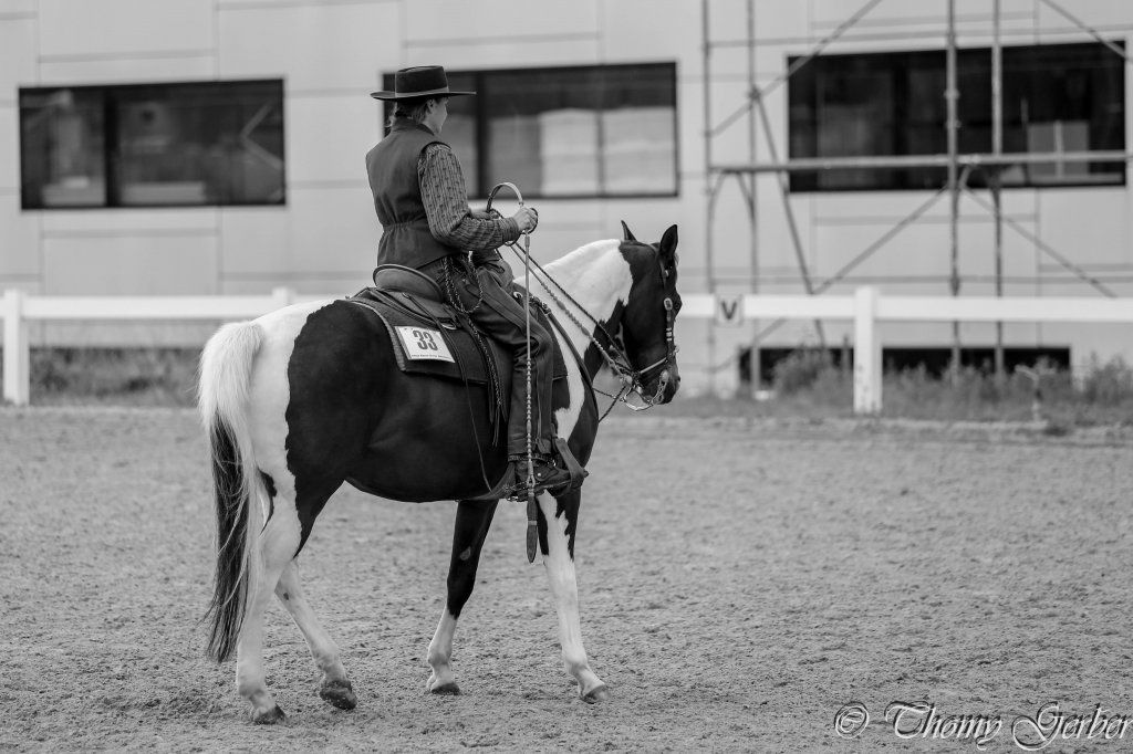Swiss Ranch Horse Association - SRHA