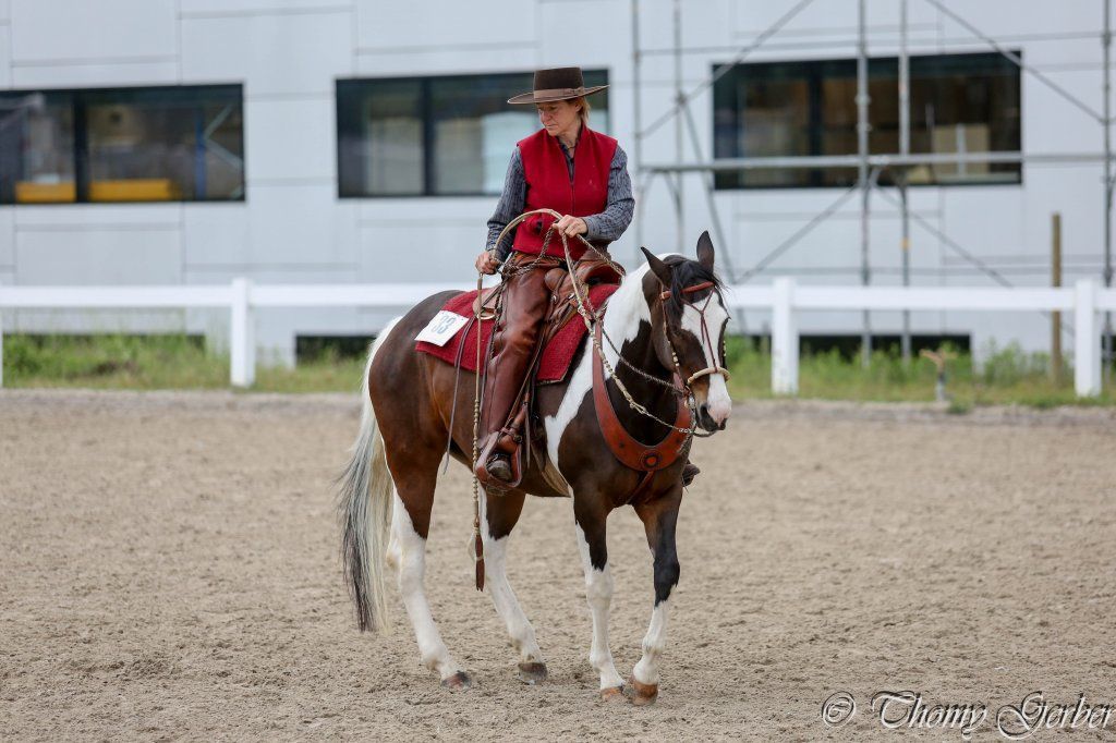Swiss Ranch Horse Association - SRHA
