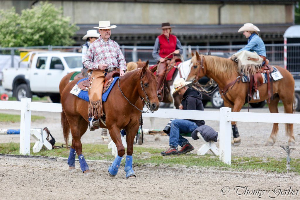 Swiss Ranch Horse Association - SRHA