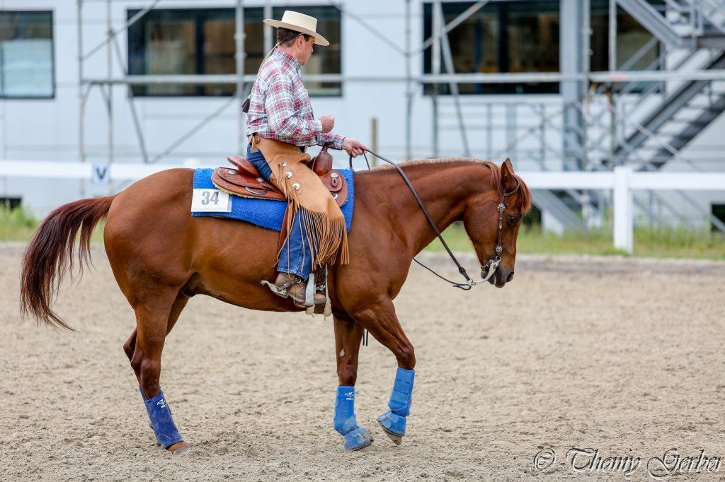 Swiss Ranch Horse Association - SRHA