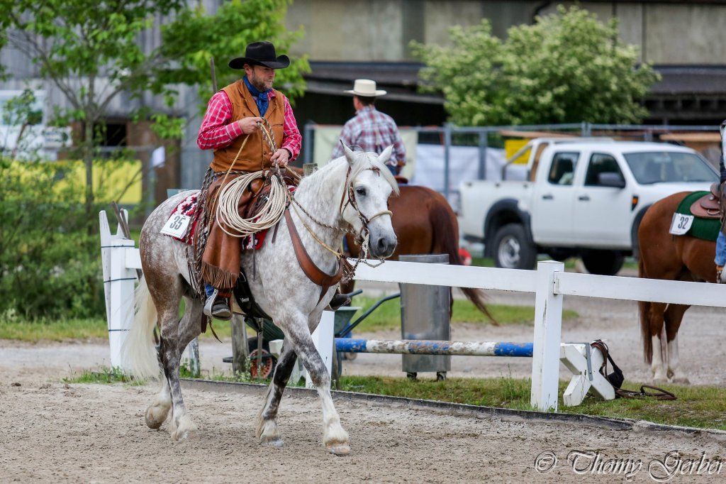 Swiss Ranch Horse Association - SRHA