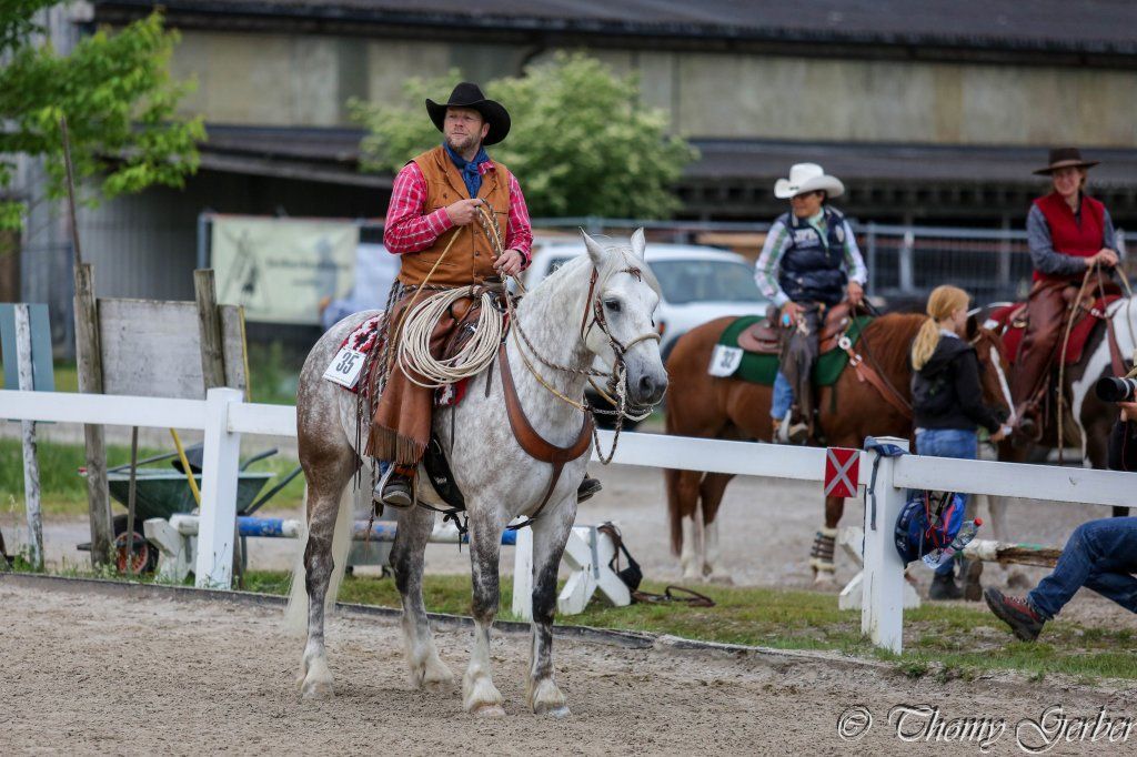 Swiss Ranch Horse Association - SRHA