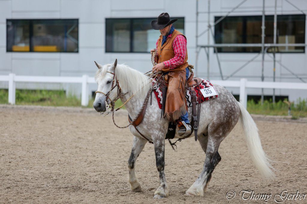 Swiss Ranch Horse Association - SRHA