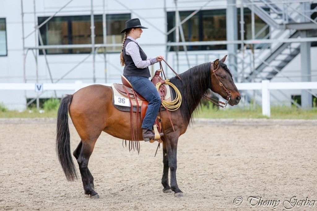 Swiss Ranch Horse Association - SRHA