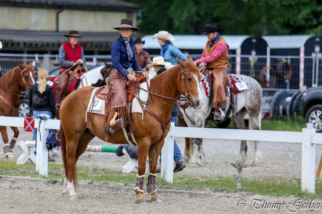 Swiss Ranch Horse Association - SRHA