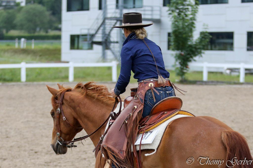 Swiss Ranch Horse Association - SRHA