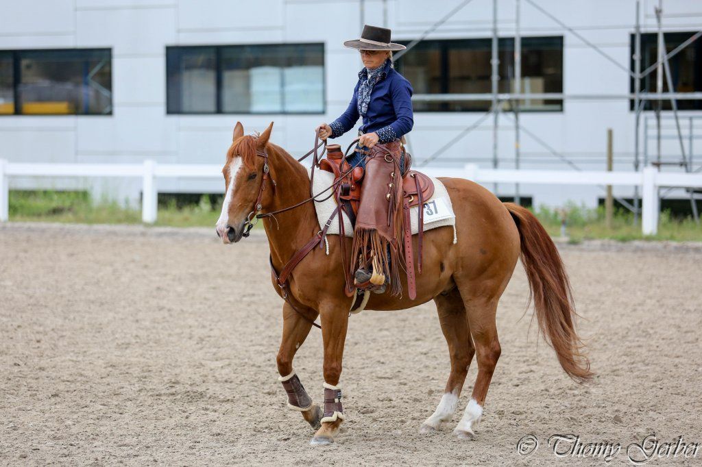 Swiss Ranch Horse Association - SRHA