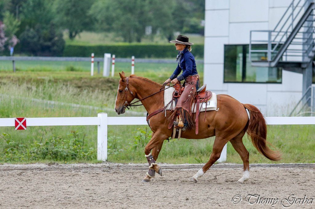 Swiss Ranch Horse Association - SRHA