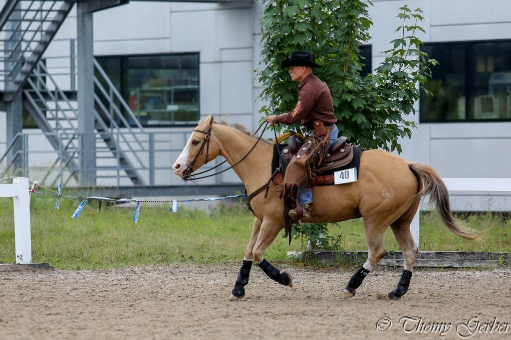 Swiss Ranch Horse Association - SRHA