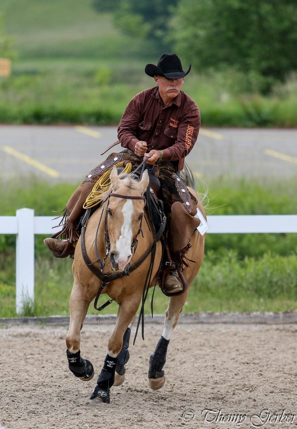 Swiss Ranch Horse Association - SRHA