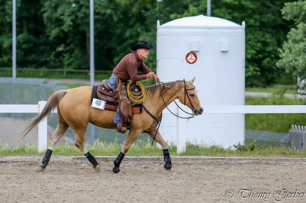 Swiss Ranch Horse Association - SRHA