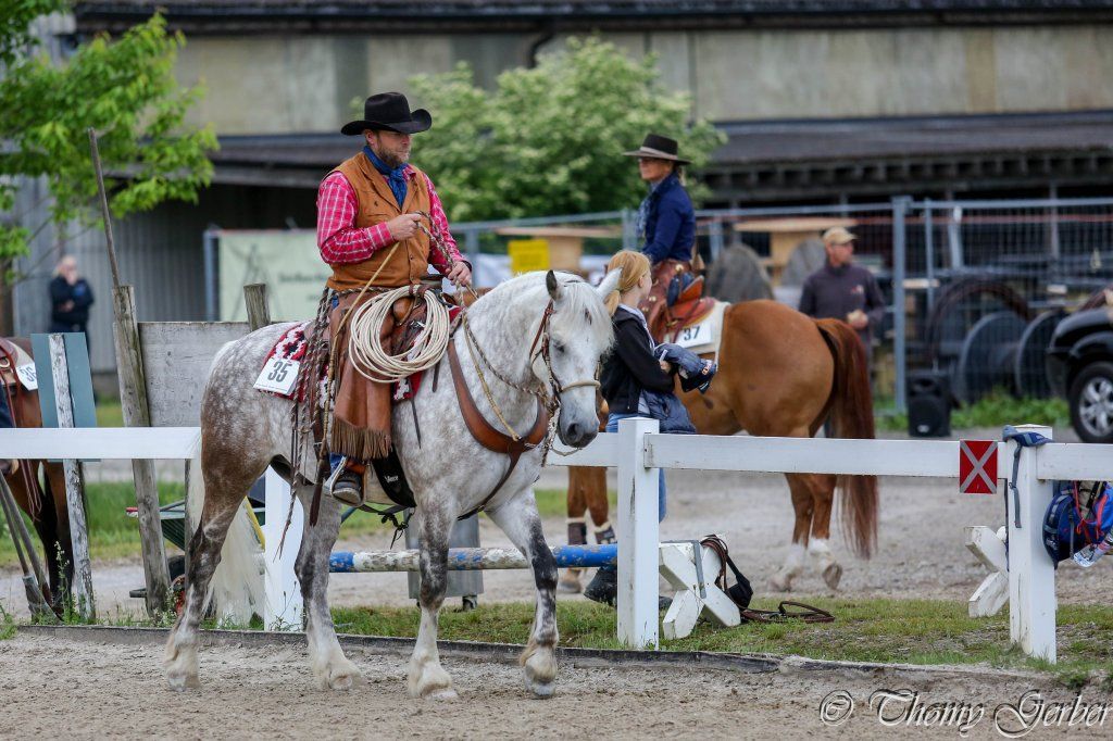 Swiss Ranch Horse Association - SRHA