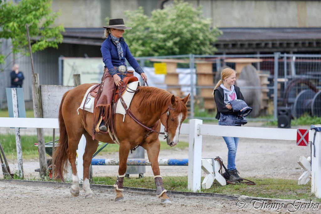 Swiss Ranch Horse Association - SRHA