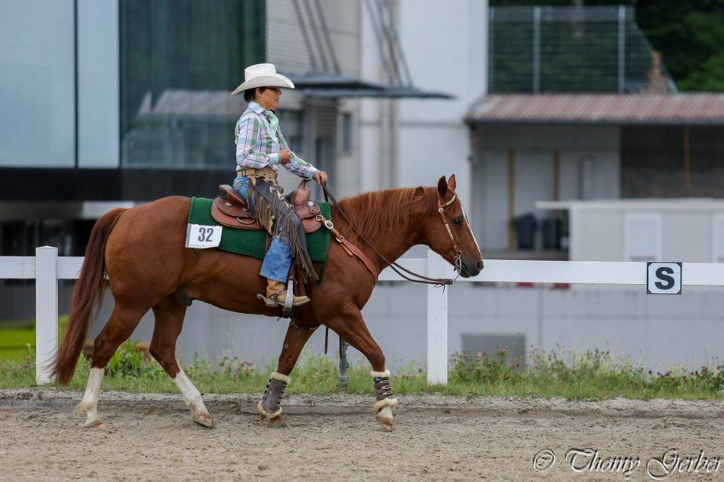 Swiss Ranch Horse Association - SRHA