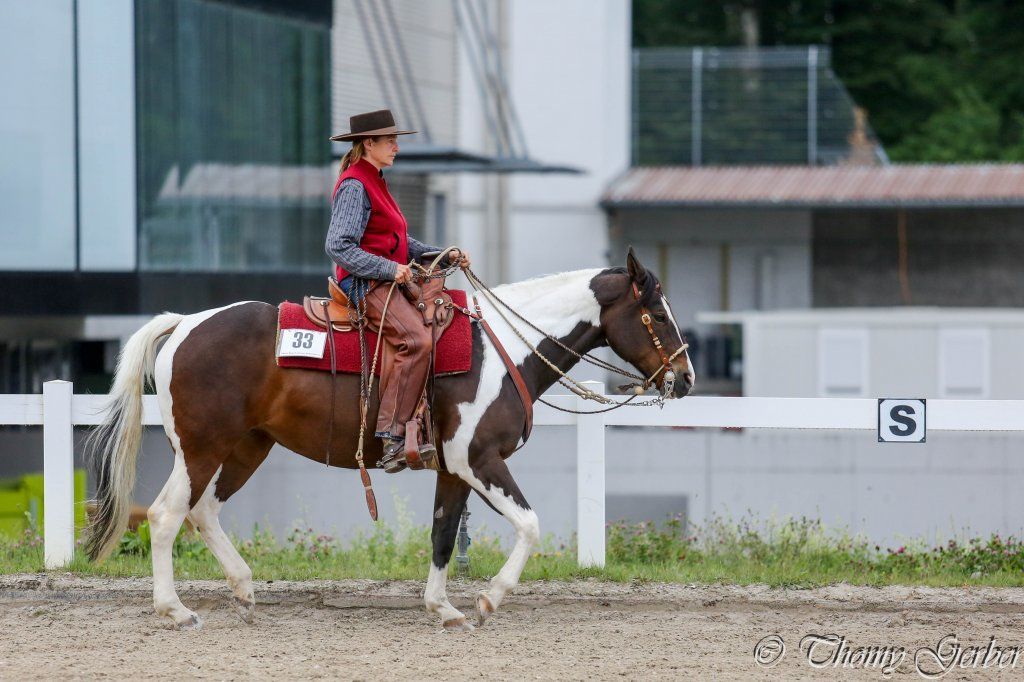 Swiss Ranch Horse Association - SRHA