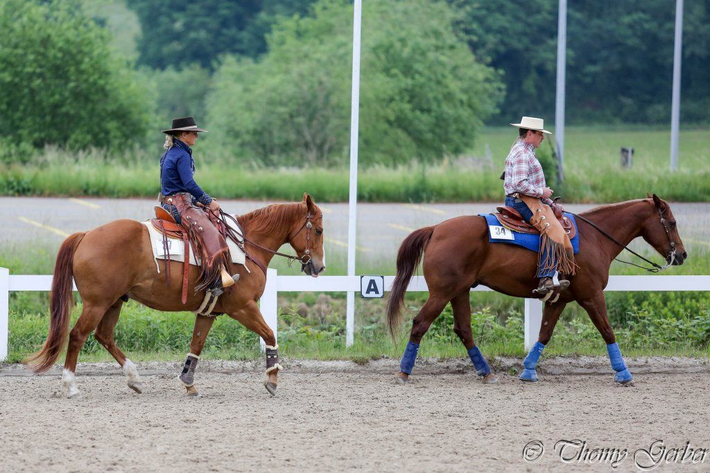 Swiss Ranch Horse Association - SRHA