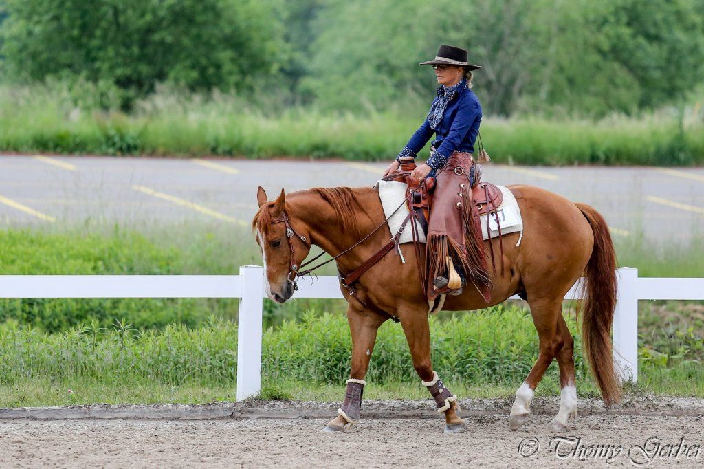 Swiss Ranch Horse Association - SRHA