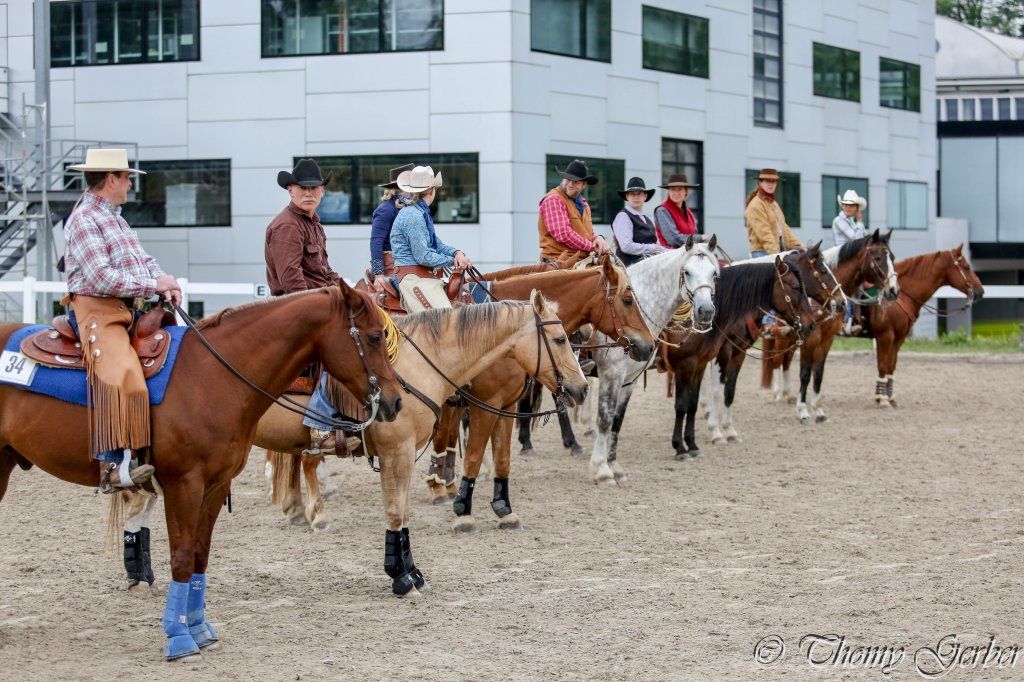 Swiss Ranch Horse Association - SRHA