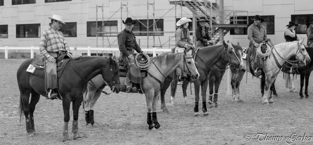 Swiss Ranch Horse Association - SRHA