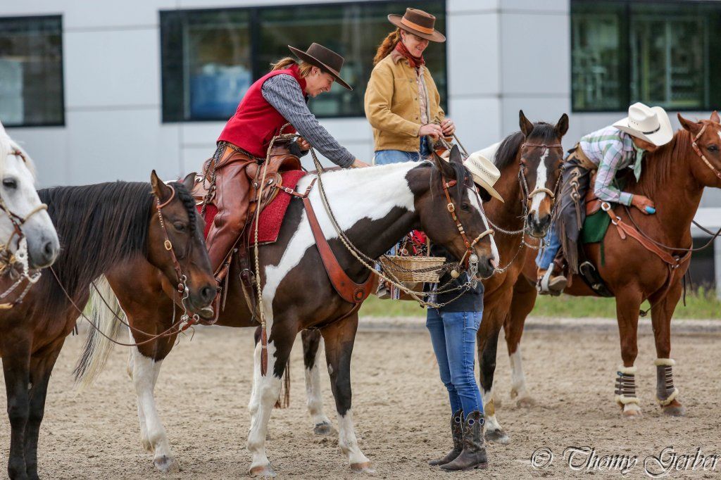 Swiss Ranch Horse Association - SRHA