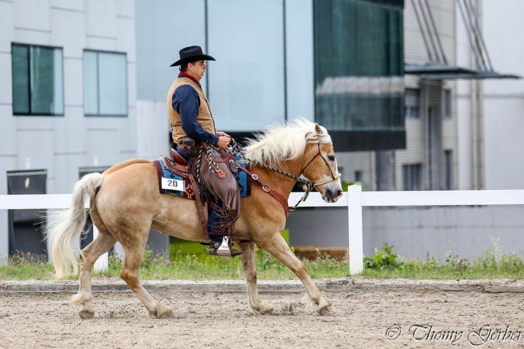 Swiss Ranch Horse Association - SRHA