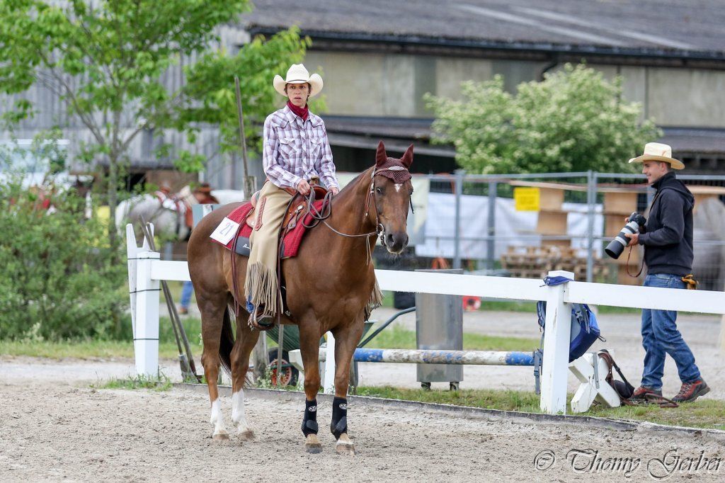 Swiss Ranch Horse Association - SRHA