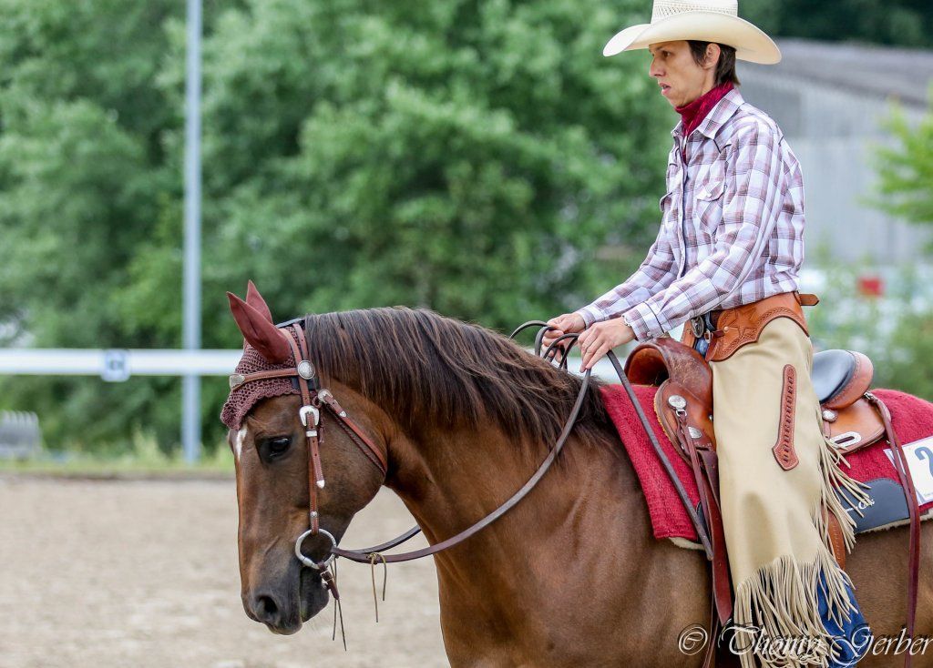 Swiss Ranch Horse Association - SRHA