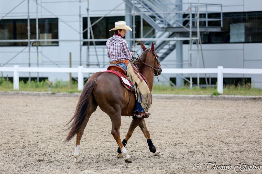 Swiss Ranch Horse Association - SRHA