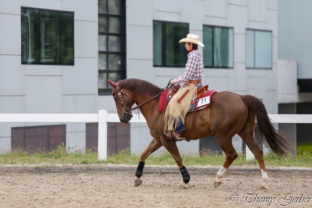 Swiss Ranch Horse Association - SRHA