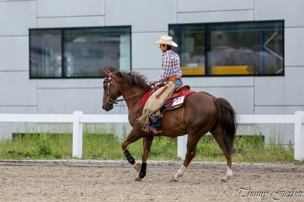 Swiss Ranch Horse Association - SRHA