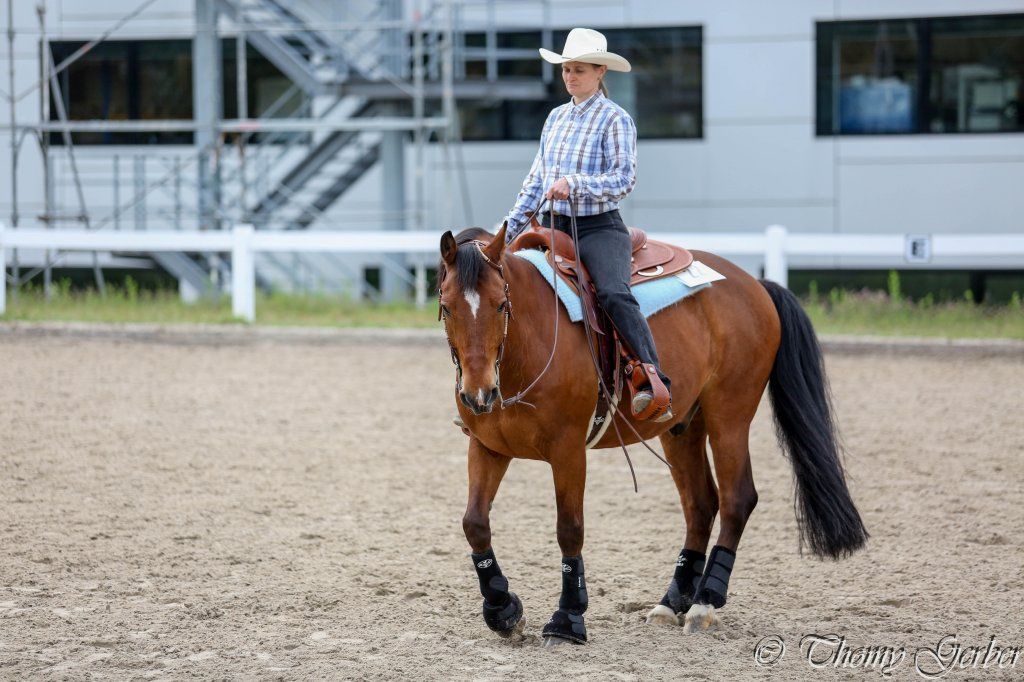 Swiss Ranch Horse Association - SRHA