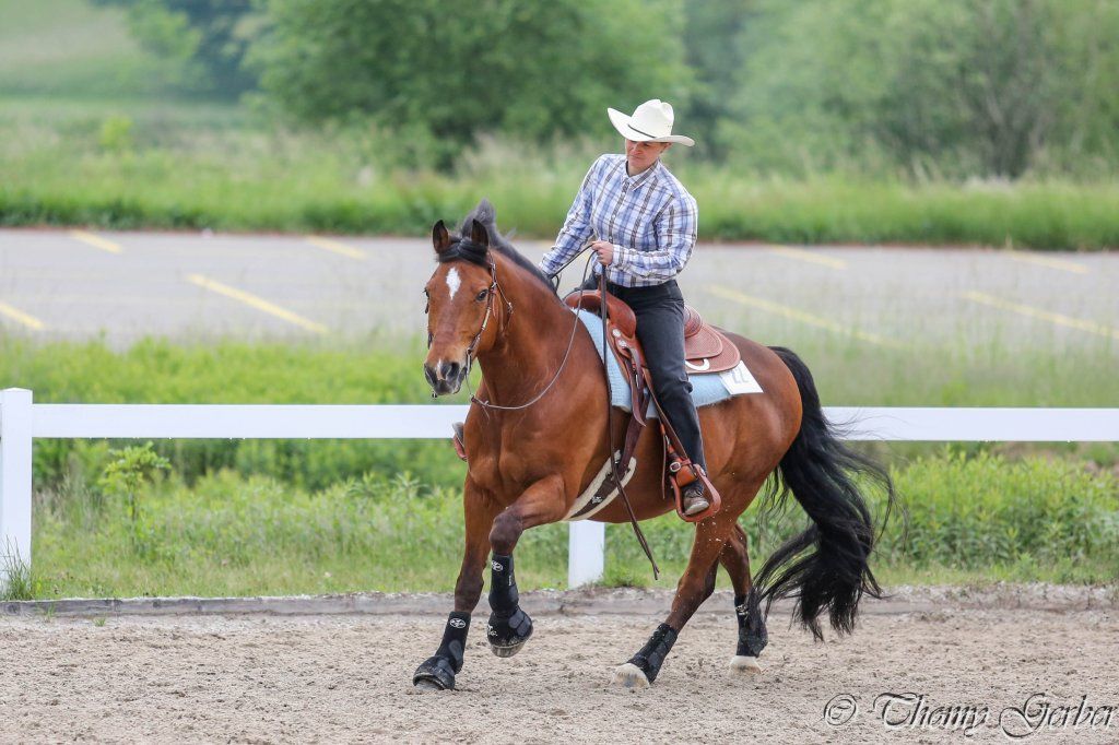 Swiss Ranch Horse Association - SRHA