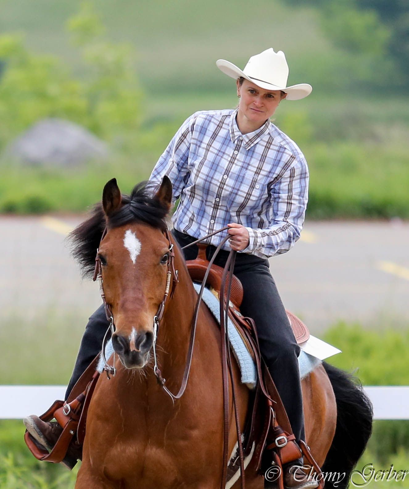 Swiss Ranch Horse Association - SRHA