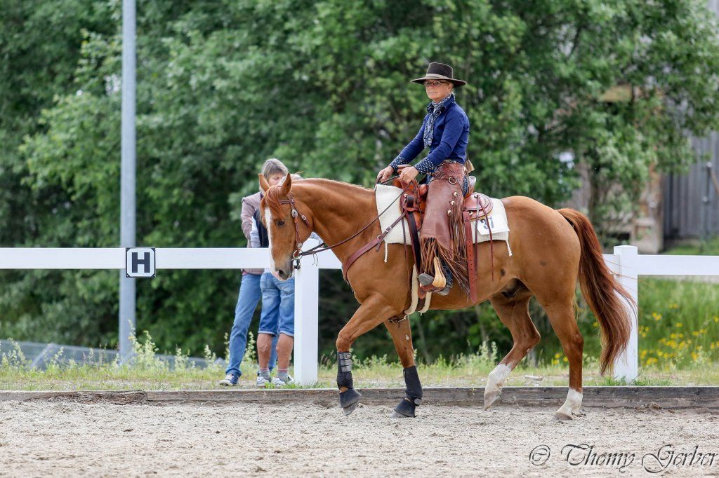 Swiss Ranch Horse Association - SRHA