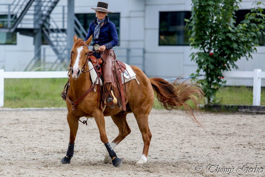 Swiss Ranch Horse Association - SRHA