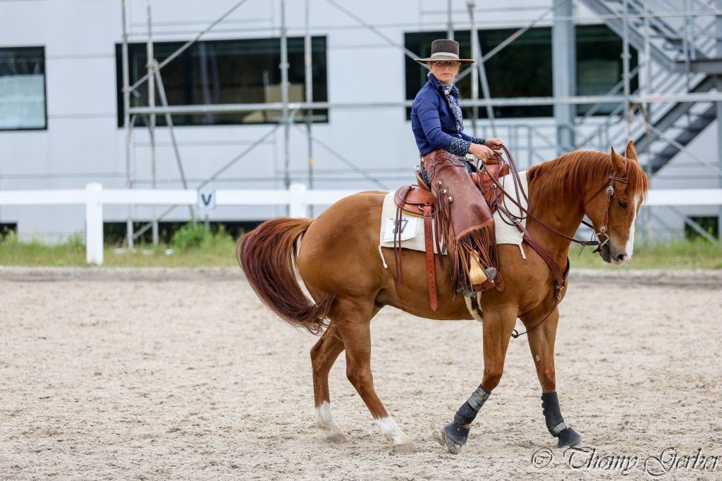 Swiss Ranch Horse Association - SRHA