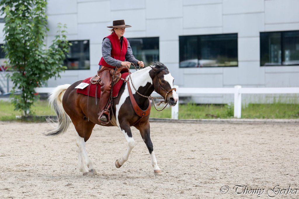 Swiss Ranch Horse Association - SRHA