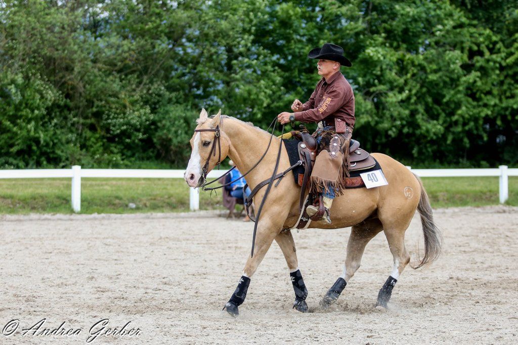 Swiss Ranch Horse Association - SRHA