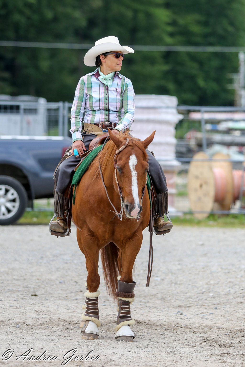 Swiss Ranch Horse Association - SRHA