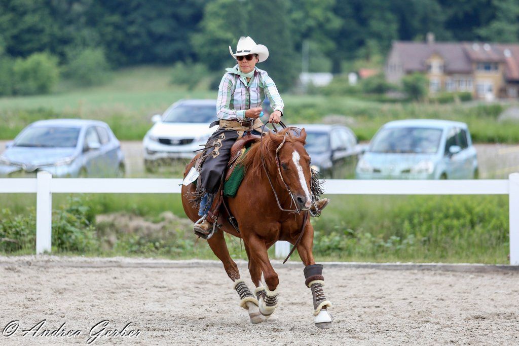 Swiss Ranch Horse Association - SRHA
