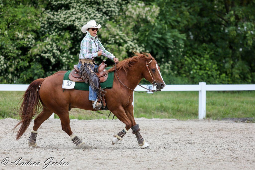 Swiss Ranch Horse Association - SRHA