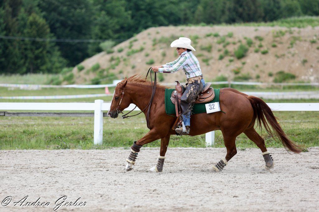 Swiss Ranch Horse Association - SRHA