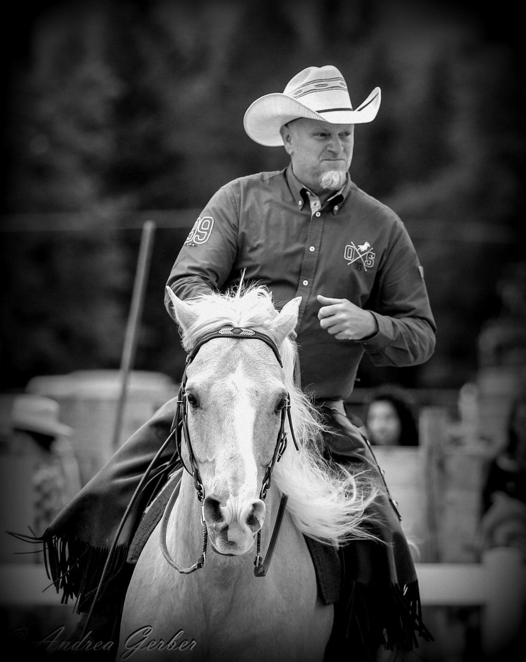 Swiss Ranch Horse Association - SRHA