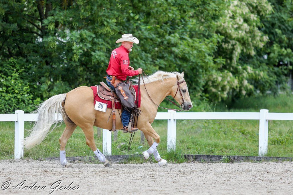 Swiss Ranch Horse Association - SRHA