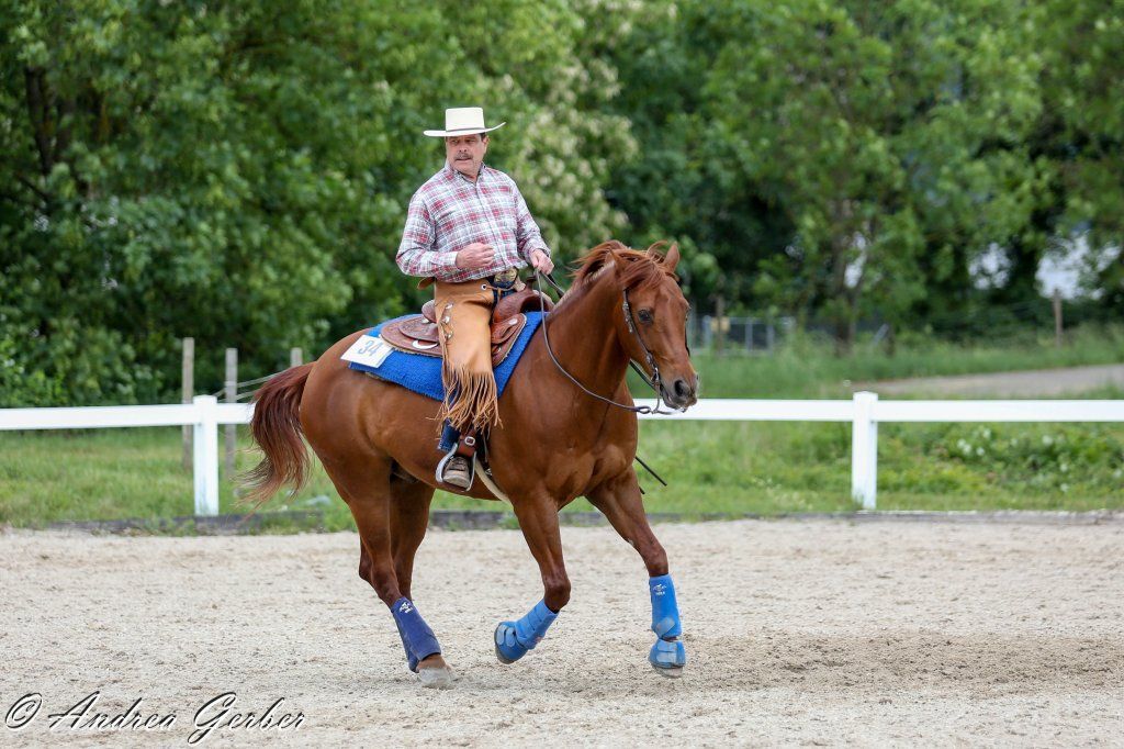 Swiss Ranch Horse Association - SRHA