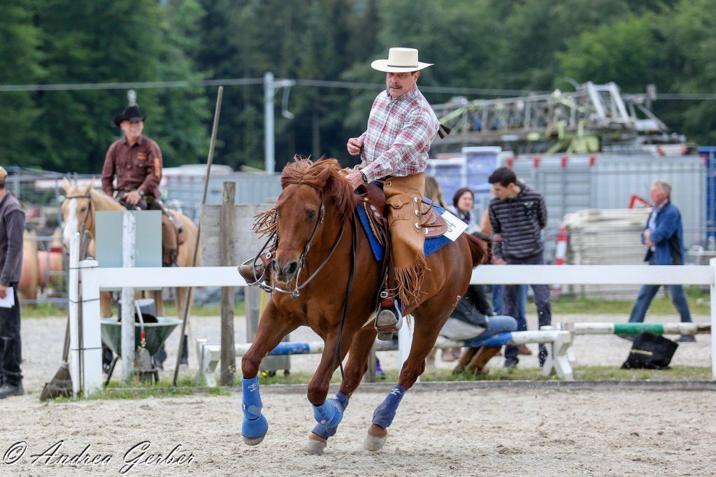 Swiss Ranch Horse Association - SRHA