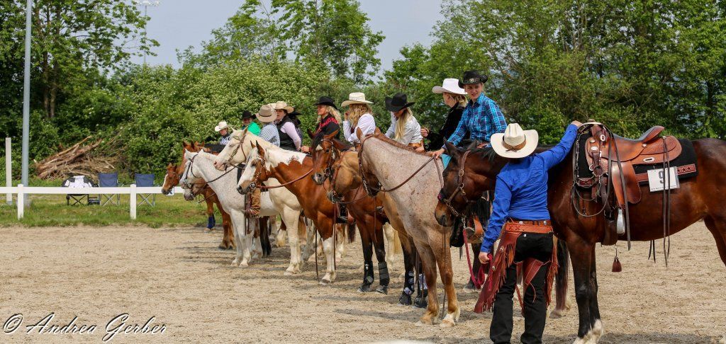 Swiss Ranch Horse Association - SRHA