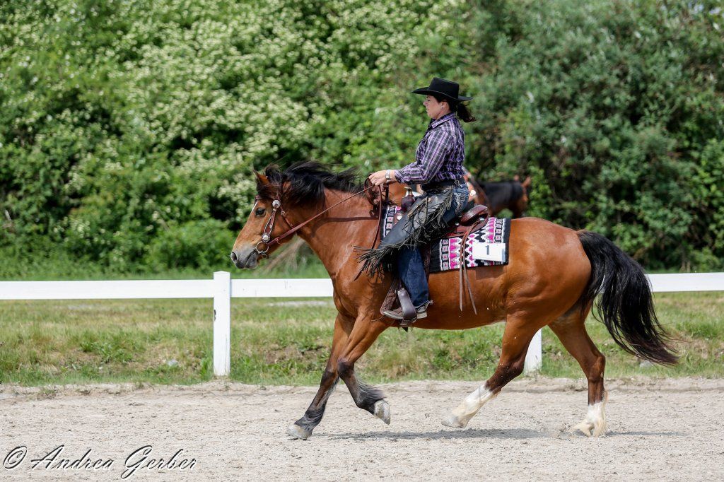 Swiss Ranch Horse Association - SRHA