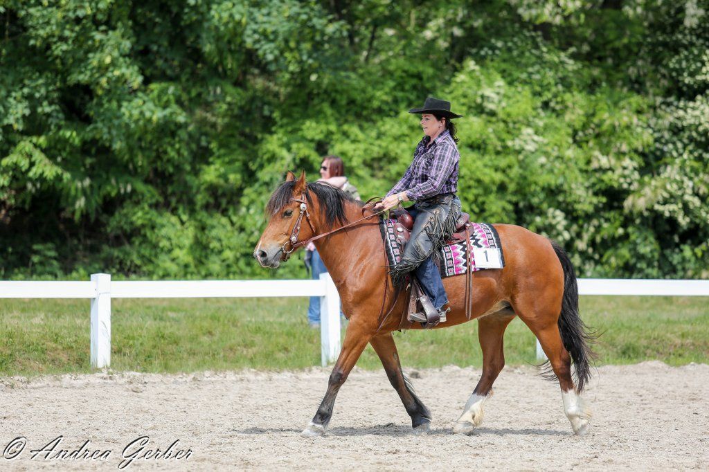 Swiss Ranch Horse Association - SRHA