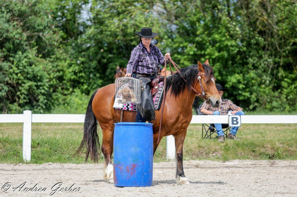 Swiss Ranch Horse Association - SRHA